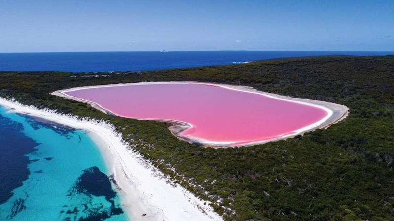 Цікаві факти про Африку