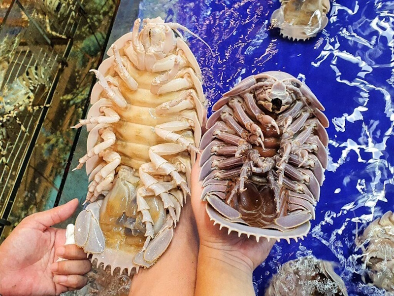 Тихий океан