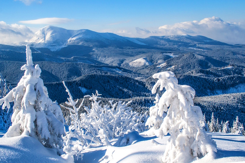 про Карпати