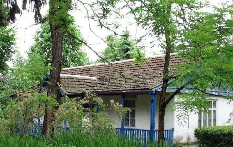 Марко Вовчок