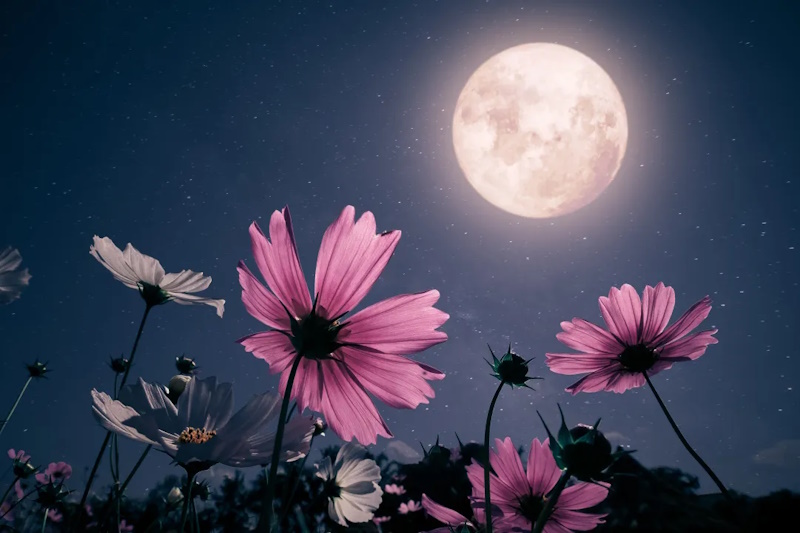 Цікаві факти про Місяць