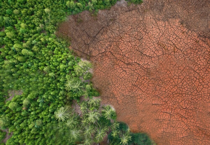 Цікаві факти про Африку