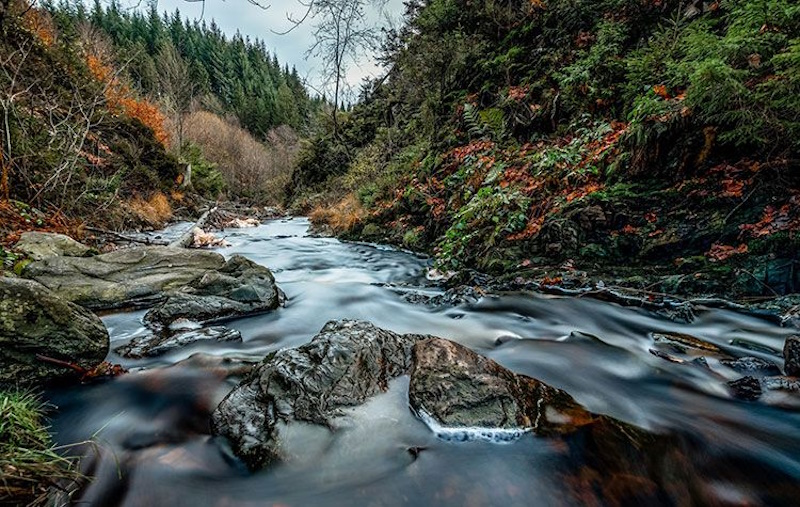 про Карпати