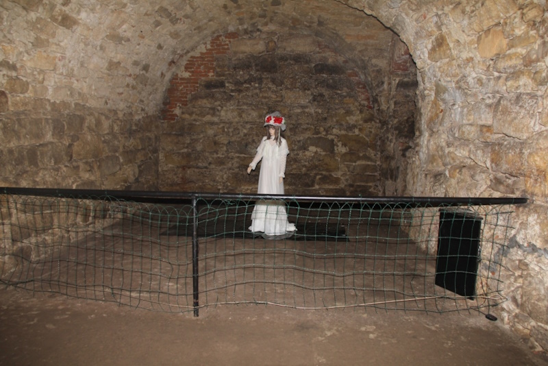 Підгорецький замок