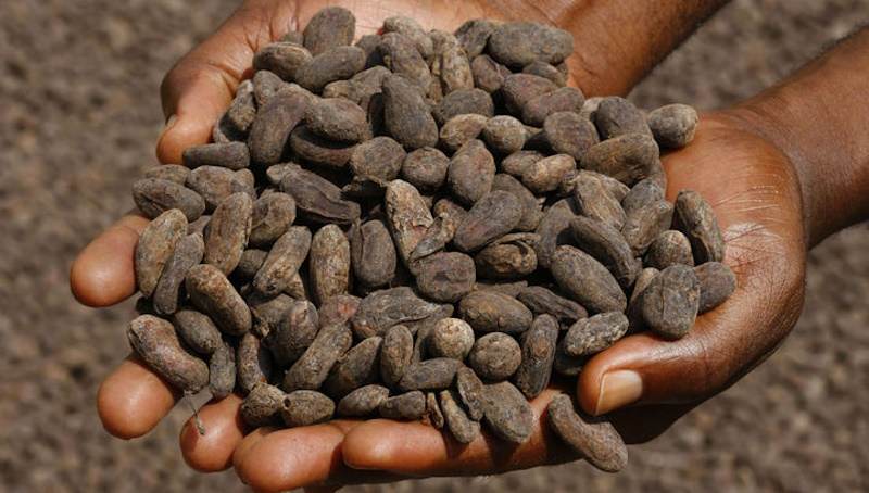 факти про шоколад