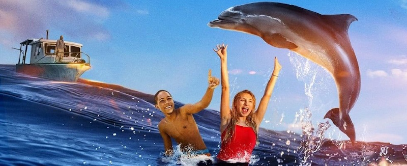 про дельфінів