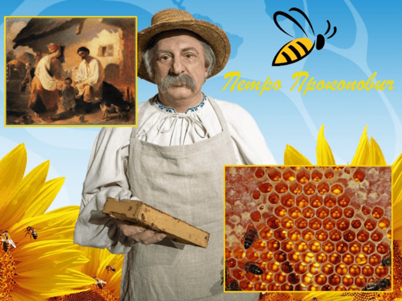 про бджіл