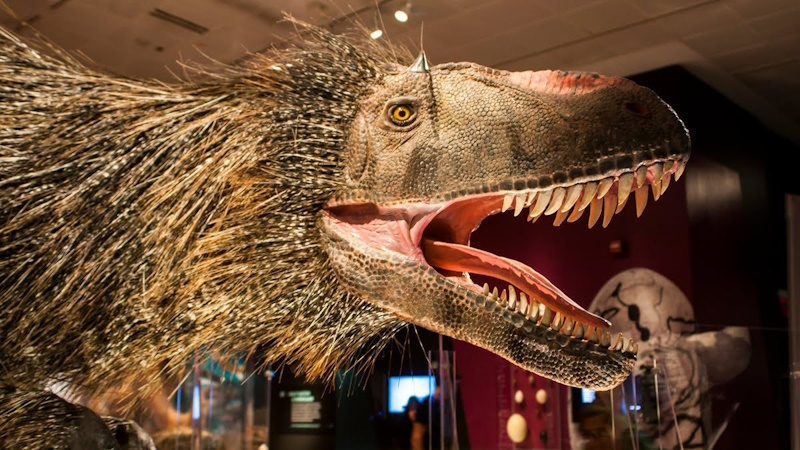 про динозаврів