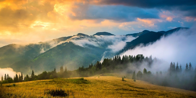 про Карпати